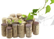 vigne sur bouchons de liège