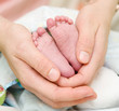 Baby feet cupped into mothers hands 