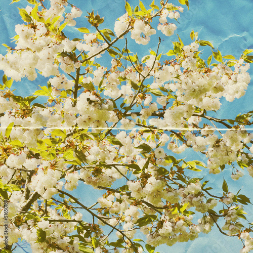 Photo: paper blossom paper blossom