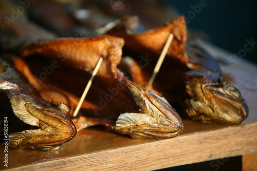 Photo: Trout Trout