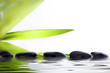 Spa massage stones in water