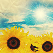 folded sunflower paper