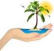 Sea ??island with palm in a female hand. Vector
