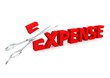 Scissor and expense