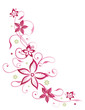 canvas print picture - Sommer, frame, Blumen, Ranke, pink, rosa