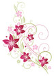 Sommer, frame, Blumen, Ranke, pink, rosa