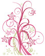 Sommer, frame, Blumen, Ranke, pink, rosa
