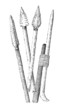 Stone-Age Prehistory : Arrows - Flèches - Pfeile