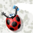 coccinela pulizie