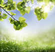 spring background