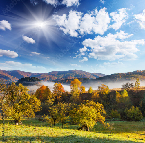 Photo: autumn autumn