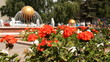 Water fountain in the park.