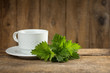 Stinging nettle ( Urtica dioica ) on wooden table