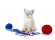 Cute kitten with yarn