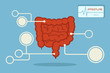 intestline infographic, vector