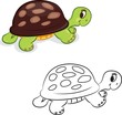 Cartoon turtle. Coloring book. Vector illustration