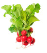 Photo: radish bunch radish bunch