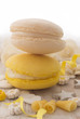 yellow and white macaroons