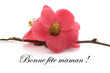 Fête Des Mères