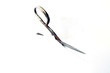 Rusty Scissors
