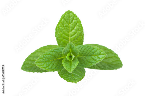 Photo: mint bunch mint bunch