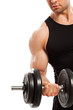Handsome muscular guy working out
