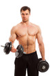 Handsome Muscular Guy Working ...
