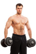 Handsome muscular guy working out