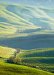 Photo: Tuscany hills Tuscany hills