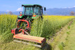 tractor farming on canola field