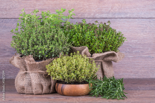 Photo: fresh herbs fresh herbs