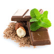 Chocolate Bar with hazelnuts
