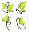 girls and leaves, ecological collection of beauty and spa