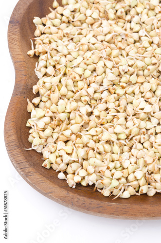 Photo: green buckwheat sprouts in a wooden bowl green buckwheat sprouts in a wooden bowl