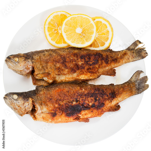 Photo: fried river trout fish on white background fried river trout fish on white background