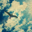 paper bird