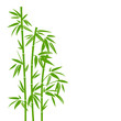 Bamboo Green