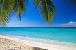 tropical sea