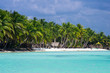 tropical sea