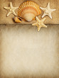 Summer background