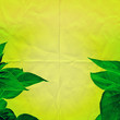 paper leaves