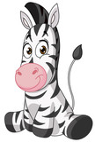 Baby zebra