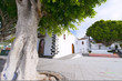 Photo: canary islands, la palma : tirajafe, church place, giant laurel canary islands, la palma : tirajafe, church place, giant laurel