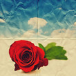 paper rose