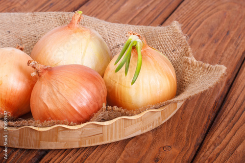 Photo: Onion with sprouts on a napkin with burlap on a wooden plate Onion with sprouts on a napkin with burlap on a wooden plate