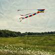 Photo: kite flying in meadow kite flying in meadow