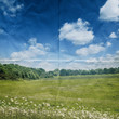paper meadow