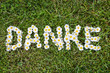 Danke