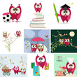 owl love story