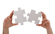 Jigsaw piece solution